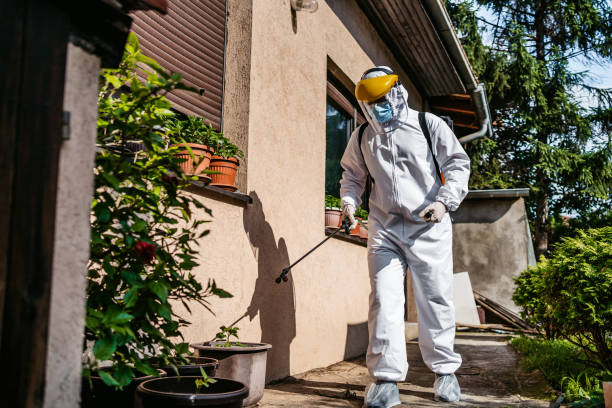Best Emergency Pest Control  in Whiteriver, AZ
