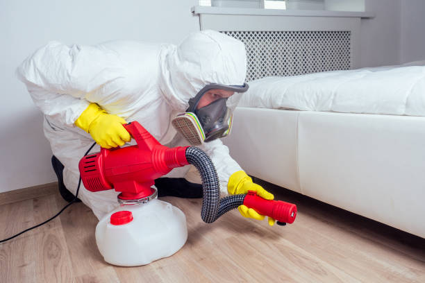 Best Pest Removal Services  in Whiteriver, AZ