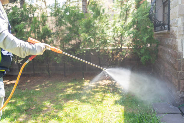 Best Wasp Removal Services  in Whiteriver, AZ