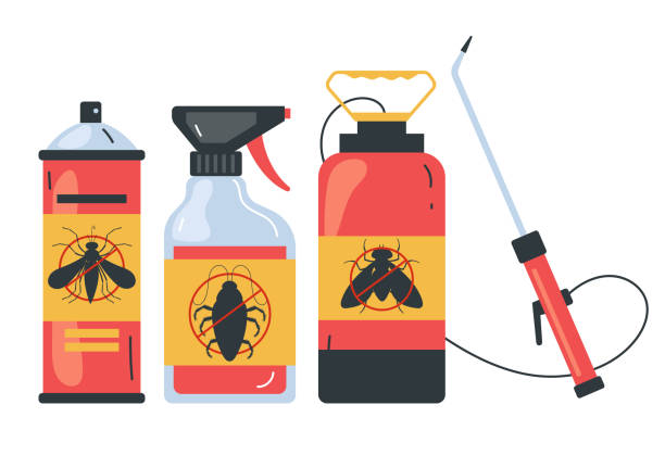 Insect Control in Whiteriver, AZ